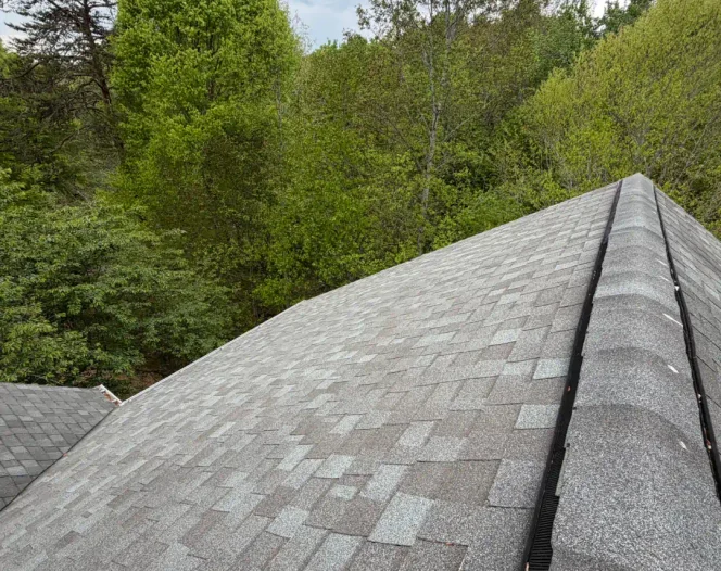Protect Your Home with Reliable Roof Repair in Charlottesville, VA (1)